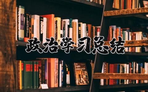 最新政治学习总结心得体会范文