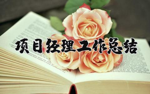 项目经理工作总结合集 项目经理工作进展汇报书
