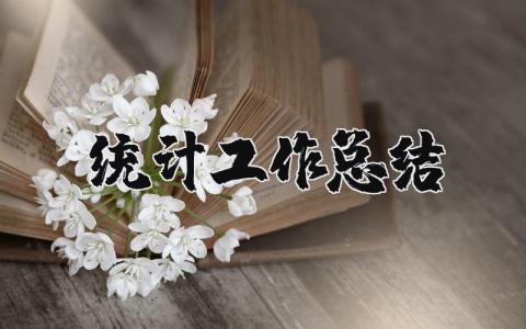 统计工作总结范文汇总 统计工作总结报告合集