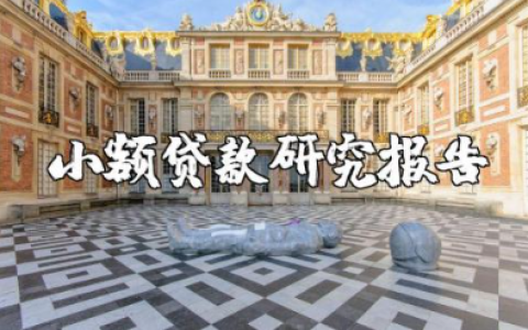 小额贷款行业研究报告范文 小额贷款行业调研报告模板