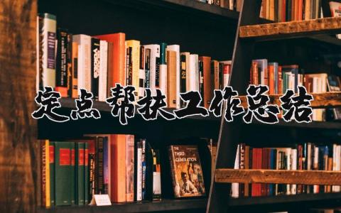 定点帮扶工作总结报告汇报 定点帮扶工作总结范文精选