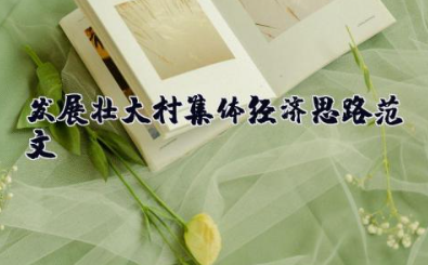 发展壮大村集体经济思路范文 村级集体经济发展思路及规划