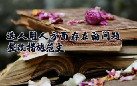 选人用人方面存在的问题及整改措施范文 选人用人问题表现