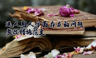 选人用人方面存在的问题及整改措施范文 选人用人问题表现