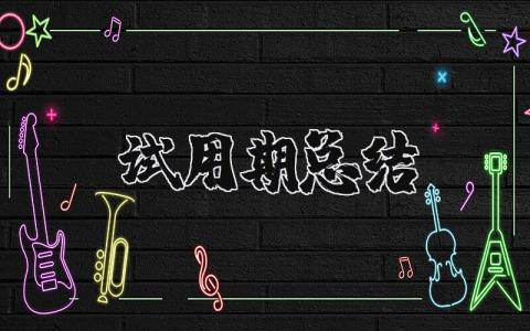 试用期总结报告汇总 试用期工作总结精选范文