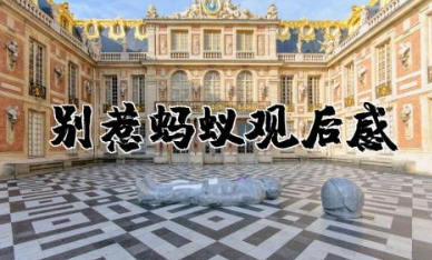 别惹蚂蚁观后感作文 观别惹蚂蚁有感