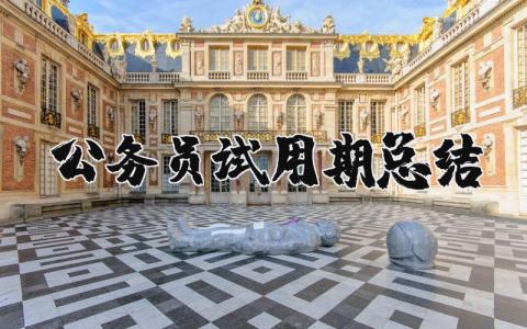 公务员试用期总结报告范文 公务员试用期转正个人总结