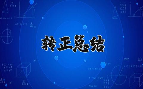 转正总结报告 转正个人自述简短