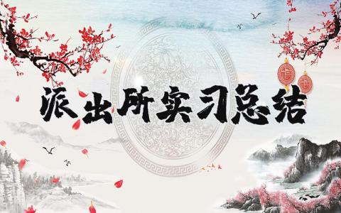 派出所实习总结报告范文大全