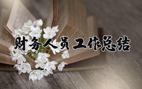 财务人员工作总结及工作计划范文