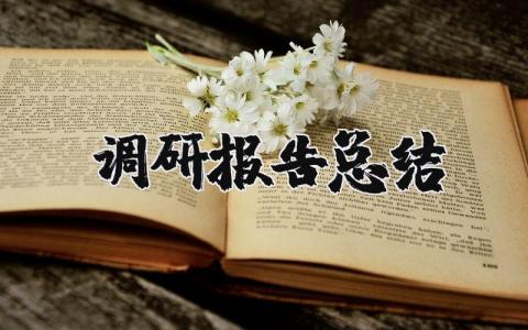 调研报告总结万能模板 调研报告最佳范文