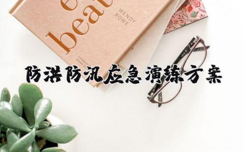 防洪防汛应急演练方案内容 2025年防洪防汛应急预案