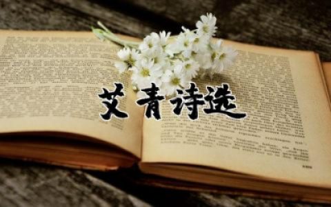 艾青诗选读书笔记摘抄及感悟优秀合集