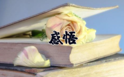 绿山墙的安妮读书笔记摘抄及感悟 《绿山墙的安妮》心得体会