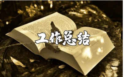 幼师工作总结范文合集 幼师工作总结感悟模板汇总