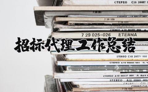 招标代理工作总结和计划 招标代理工作总结800字左右