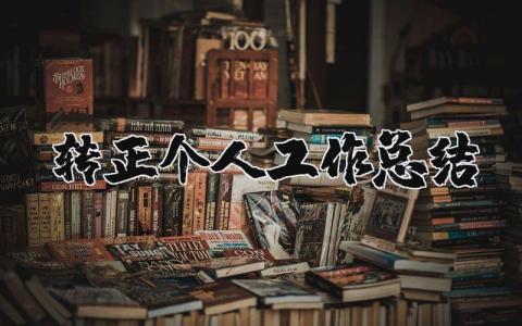 转正个人工作总结范文 转正后的工作总结报告汇总