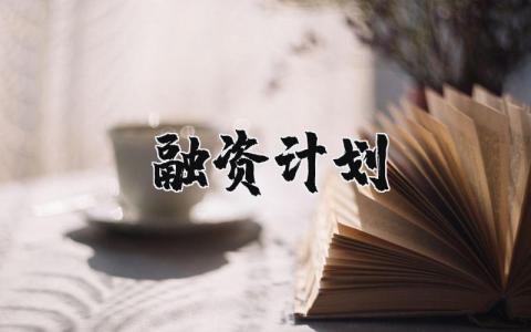 融资计划模板范文 关于融资计划汇总