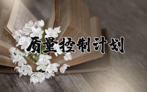 质量控制计划表模板 质量控制计划范例精选
