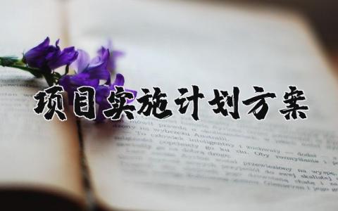 项目实施计划方案模板范文 项目实施计划方案怎么写
