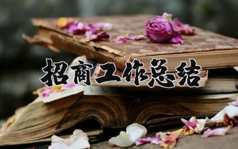 招商工作总结精选范文 招商工作情况汇报书模板