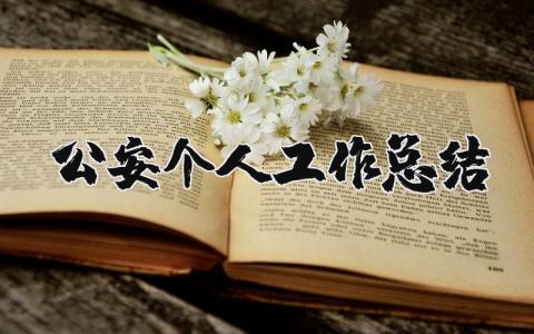 公安个人工作总结范文简短 公安工作简报优秀范文