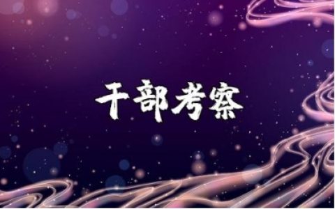 被提任干部考察的个人谈话记录内容材料汇总