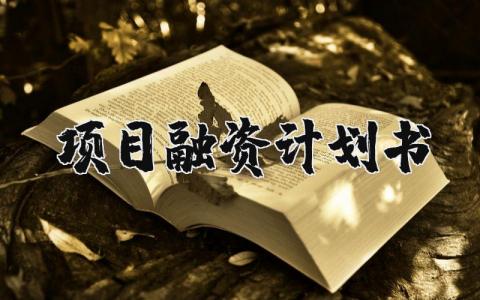 项目融资计划书范文 项目融资计划书模板