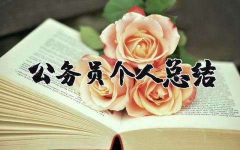 公务员个人总结报告 公务员工作自我总结及工作计划