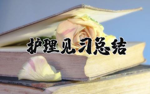 护理见习总结报告 护理实习工作总结及反思