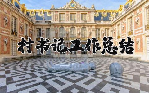 村书记工作总结及工作计划范文