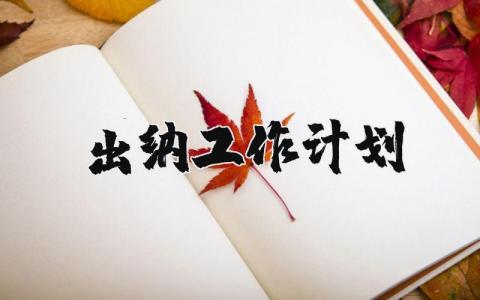 出纳工作计划及工作安排范文大全