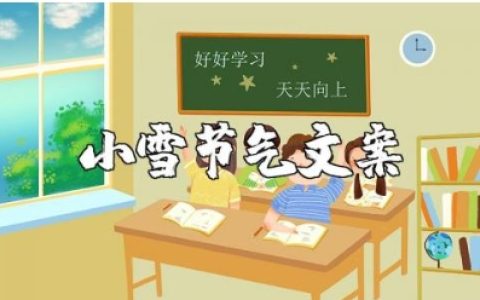 关于小雪的优美句子文案合集 小雪节气的唯美短句大全