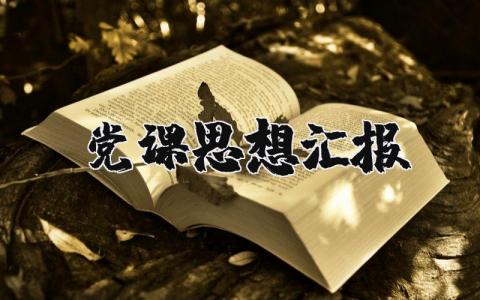 个人工作总结下一步计划 精选9篇