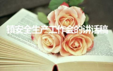 镇安全生产工作会的讲话稿 各单位主要负责人安全生产发言稿