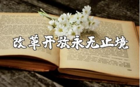 《改革开放永无止境》读后感及心得体会精选范文