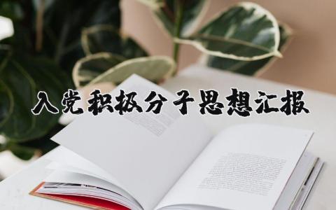 财务年度工作计划 精选16篇