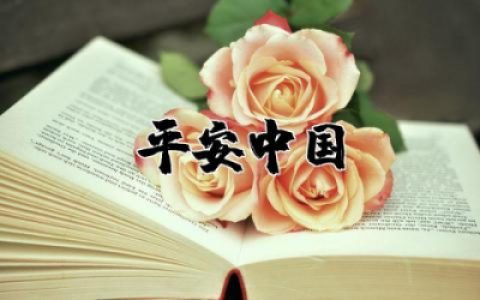 平安中国之守护者观后感1500字范文精选合集