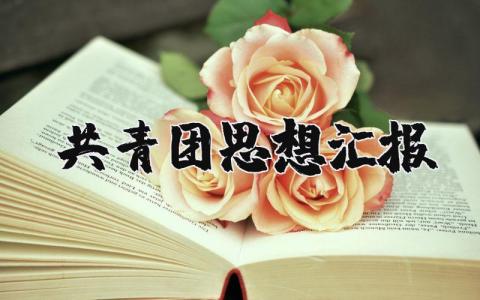 关于共青团思想汇报范文大全