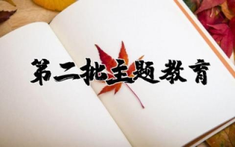 第二批主题教育心得体会范文  第二批主题教育学习心得体会