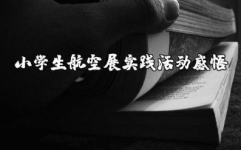 小学生航空展实践活动感悟与收获总结报告