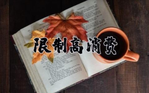 限制高消费申请书 限制高消费及有关消费申请书
