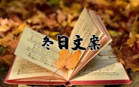 冬天最吸引人的句子简短 冬日文案短句干净治愈