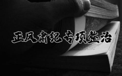 全区政法系统正风肃纪专项整治动员会议上的讲话提纲通用