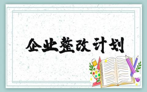 企业整改计划精选范文 企业整改实施方案通用模板