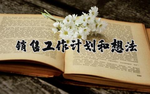 销售工作计划和想法范文通用 销售工作计划和想法总结