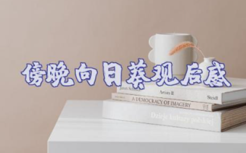 电影《傍晚向日葵》观后感范文
