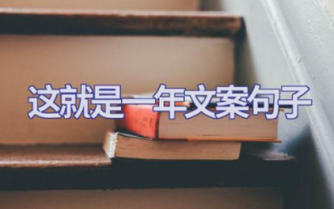 这就是一年文案句子 回顾这一年生活的文案