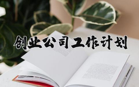 创业公司工作计划范文 创业工作实施方案策划书合集