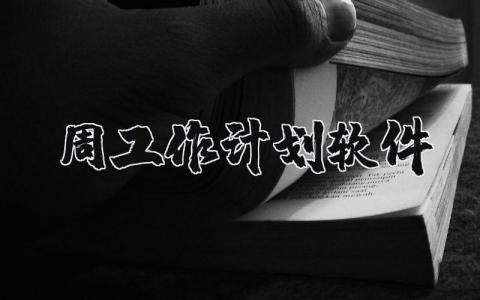 软件周工作计划精选范文 软件工作开展方案设计汇总